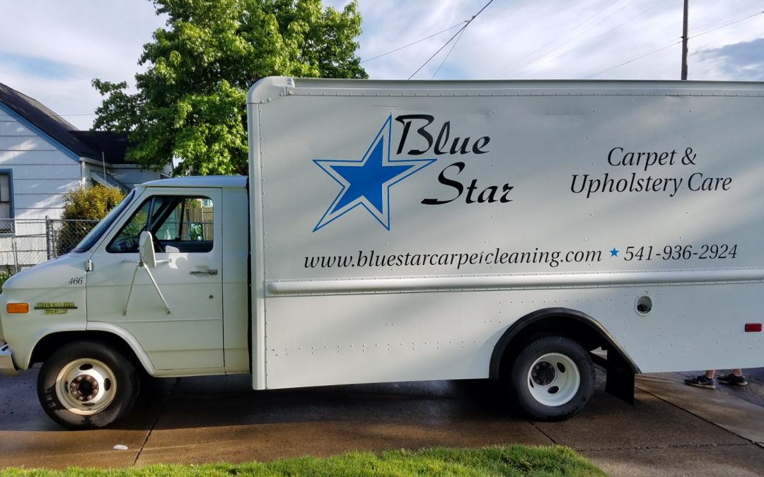 Rex Watkins | Blue Star Carpet and Upholstery Care